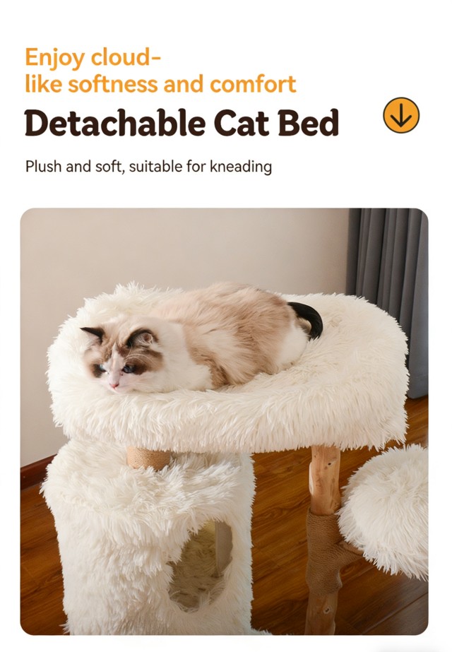 Double-layer Cat House Cat Tower