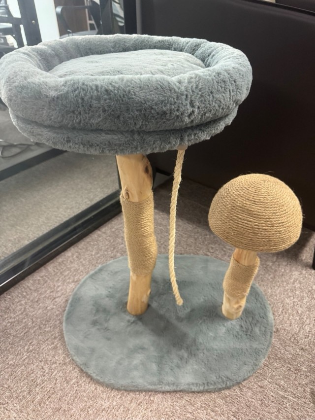 Natural Fruit Wood Cat Tree with Sisal Mushroom& Removable 38CM Cat Bed - Eco-Friendly Cat Tower for Large/Heavy Cats