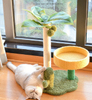 Coconut Tree And Cactus Design Multi - Functional Cat Tree Climbing Frame