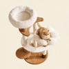 Five-Tier Plush Cat Tree With Sisal Scratching Posts And Cozy Beds