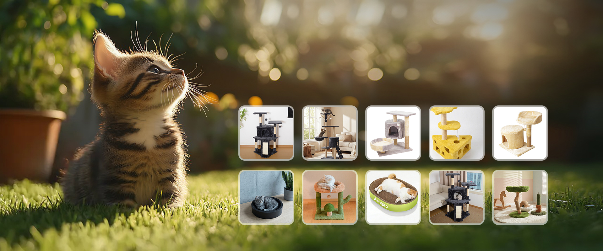 Safe, harmless cat trees, sturdy cardboard cat houses and diverse scratching pads for pet comfort
