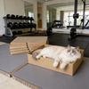 5-Pack Replaceable Pad Cat Scratcher