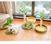 Coconut Tree And Cactus Design Multi - Functional Cat Tree Climbing Frame