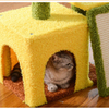Sunflower Creative Cat Tree - Multi Level Cat Condo with Scratching Post and Cozy Hideaway