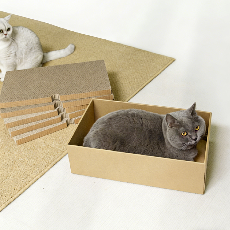5-Pack Replaceable Pad Cat Scratcher
